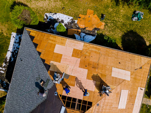 Best Storm Damage Roof Repair  in Easton, PA