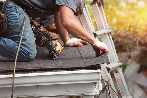Best Roof Gutter Cleaning  in Easton, PA
