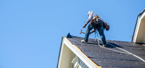 Best Local Roofing Companies  in Easton, PA